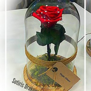Forever Rose σε γυάλα καμπάνα