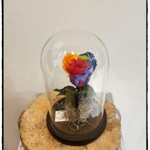 Forever Rose γυάλα καμπάνα σε rainbow απόχρωση. 